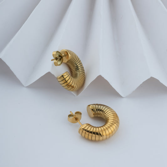 Golden Radiance: The Cira Earrings